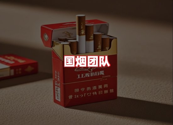 国烟团队