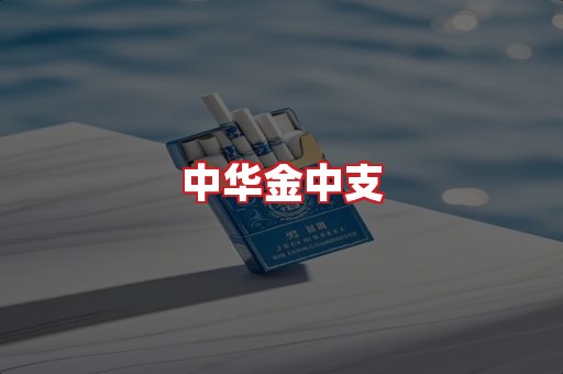 中华金中支
